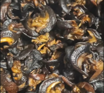 Snail